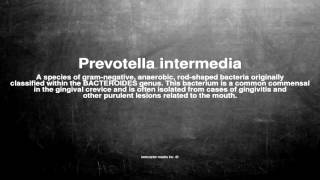 Medical vocabulary What does Prevotella intermedia mean [upl. by Lontson225]