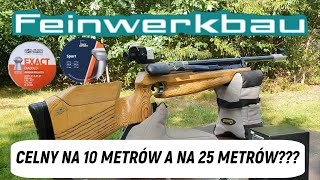 Wiatrówka Feinwerkbau 601 amp test na celność [upl. by Urissa887]