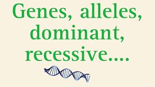 what are genes allelesdominant [upl. by Anse266]