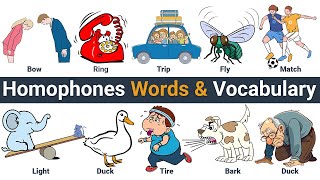 Homonyms Vocabulary  Common Homophones Words amp Vocabulary  Homophones Words [upl. by Cyrille]