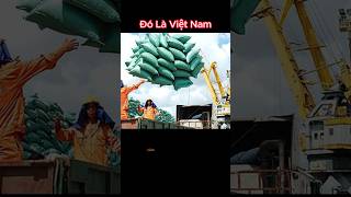 Việt Nam Hùng MạnhCác Nhà lãnh Đạo Việt Nam phần 386 shorts xuhuong tintuc [upl. by Atkins887]