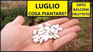 Cosa piantare nel mese di LUGLIO nellOrto e nel Frutteto  Tutorial Agricoltura [upl. by Fredela]