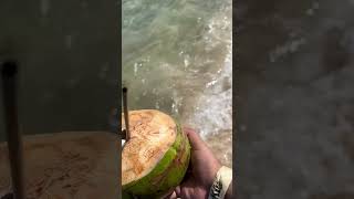 Sippin a coconut on punta venato beach in Mexico [upl. by Eelan]