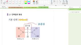 122 단백질의 기본단위아미노산 [upl. by Hairahcez]