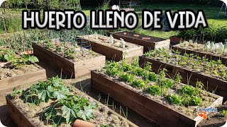 Como PREPARAR El HUERTO Para Cultivar En Otoño APORTANDO NUTRIENTES  La Huertina De Toni [upl. by Rehnberg]