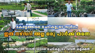 ഇവിടെ ഇല്ലാത്ത ചെടികളില്ല കേരളത്തിലെ ചെടികളുടെ സ്വർഗം Plant Story Ernakulam [upl. by Alakcim]