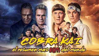 COBRA KAI El resumen mas ¡ del mundo temporada 14 [upl. by Hyams451]