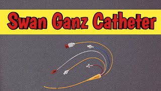 Swan Ganz Catheter क्या होता है  Cardiac Catheterization [upl. by Eiramlirpa]