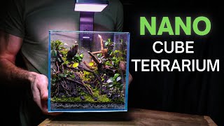 I Made a BREATHTAKING Nano Cube Terrarium Here’s How [upl. by Oster]