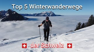 Die 5 schönsten Winterwanderwege der Schweiz [upl. by Rumney]