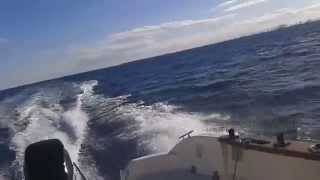 quicksilver 500 pilothouse [upl. by Noletta810]