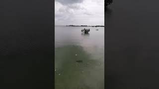 MACTAN ISLAND mactanislandmactancebusubscribersvideoshortshortsvideo [upl. by Vander107]