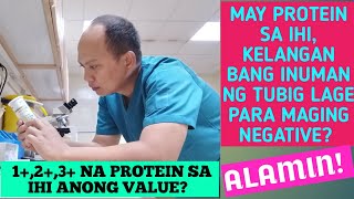 ANO ANG IBIG SABIHIN NG 1 2 3 NA PROTEIN SA IHI [upl. by Keefer]