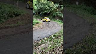 Clio R3 🍂 race motorsport clio r3 rally sound rallysantostefanobelbo italy langhe [upl. by Phaedra]