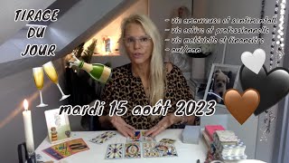 🔮TIRAGE DU JOUR 🪄💫✨mardi 15 août 2023 🔮Aspects Sentimental❤️  Professionnel Financier et OuiNon💙 [upl. by Stella363]