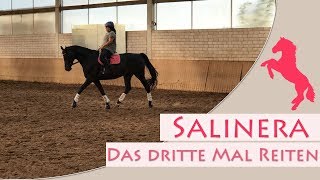 Salinera  Das dritte Mal reiten [upl. by Cyndie666]