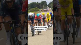 So chaotic yet so good to watch 😍 shorts cycling [upl. by Kerat]