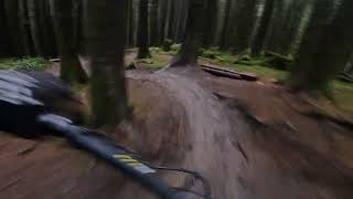 Wibbly Wobbly Bike Park Wales  Steady red trail to move onto after the blues [upl. by Alig]