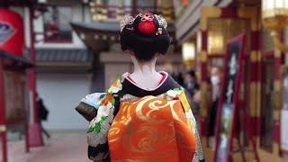 Geishas walk from Pontocho to Minamiza in Gion Kyoto  京都祇園、先斗町～南座を歩く舞妓さんを人生で初めて見た外国人観光客、海外の反応 [upl. by Ydnih785]