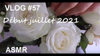 ASMR français  Vlog 57  début juillet roses agenda blabla [upl. by Enilreug]