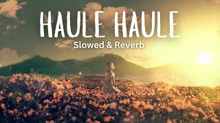 Haule Haule  Sukhwinder Singh slowed amp reverb [upl. by Howe]