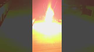 3” Coco display shell 🎆 shorts banger pyro firework [upl. by Nohs]