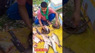 Village grash fish cutting गाँव की बाजार में बड़ी मछली arunblog fishcutting shortsfeed [upl. by Elyac335]