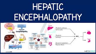 Hepatic Encephalopathy  portal systemic encephalopathy Explained [upl. by Thomasin]