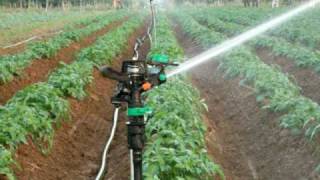 a spriklers system I instaled in India for Jain irrigation co [upl. by Enyrat]