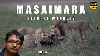 Masaimara Part 3 The Safari of a LIFETIME I মাসাইমারার জঙ্গলে [upl. by Andert667]