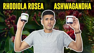 Ashwagandha vs Rhodiola Rosea My Favorite [upl. by Nylaret]