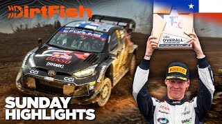 Toyota are BACK 🏆 WRC Rally Chile 2024 Highlights [upl. by Alasdair]