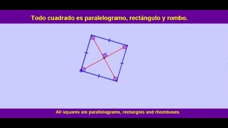 Paralelogramos clasificación y propiedades [upl. by Atiraj]