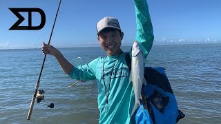 Oio fishing on the flats Catching bonefish flats Oahu Hawaii [upl. by Shirlee934]