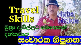 Travel Skills Herbal Medicie Dysuria මුත්‍රා දැවිල්ලටබෙහෙතක් සංචාරක නිපූනතා ඉගෙන ගන්න බලන්නsinhala [upl. by Fowler774]