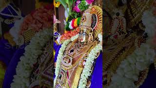 పాముతో సంబంధంలేని దేవతలు ఉండరు pooja snacks vigneswarudu siva krishna god motivation viral [upl. by Nevanod861]