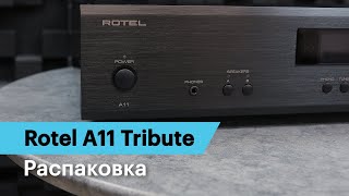 Распаковка интегрированного усилителя Rotel A11 [upl. by Reiser318]