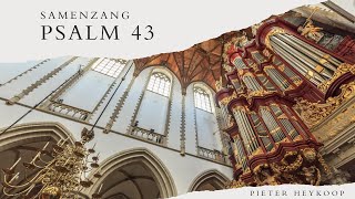 Samenzang  Psalm 43  Pieter Heykoop [upl. by Ennoved92]