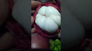 How to open mangosteen 😊 [upl. by Atinniuq]