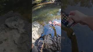 MustHave for Outdoor Photographers Using the Waterproof Case [upl. by Braynard]