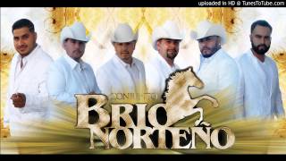 Hacerte Feliz  Conjunto Brio Norteno [upl. by Yretsym689]