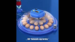 Small Incubator Hatchery Egg Hatching Machine [upl. by Assyral]