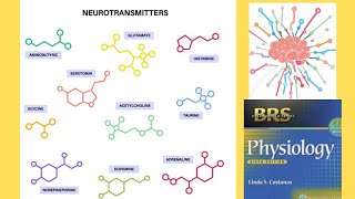 BRS Physiology  Neurotransmitters [upl. by Adnirem]