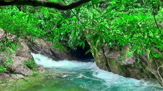 Waterfall Sounds for Sleeping Birds Chirping The Purest Water Sound Relaxing White Noise ASMR [upl. by Nosliw601]