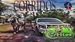 2018  Banda Cerritos  Corridos Perrones [upl. by Anoiuq]