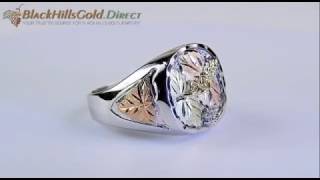 Landstroms® Stunning Sterling Silver and Gold Mens Ring [upl. by Sirod]