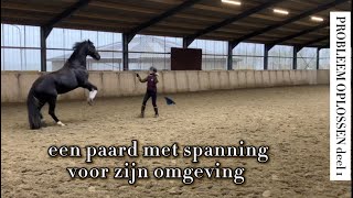 Grondwerk EEN PAARD MET SPANNING VOOR GELUIDEN EN BEWEGING [upl. by Ardith226]