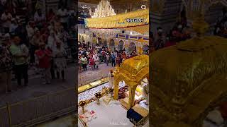 Sweri swer satguru de bani sunya kro waheguruji shortviralvideo viralvideo viralworldviraltoday [upl. by Aicilehp]