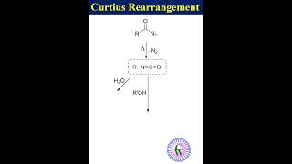 Curtius rearrangement youtube science ytshorts [upl. by Ahsilyt]