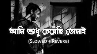 Ami Sudhu Cheyechi Tomai আমি শুধু চেয়েছি তোমাই   Slowed  Reverb [upl. by Westleigh]